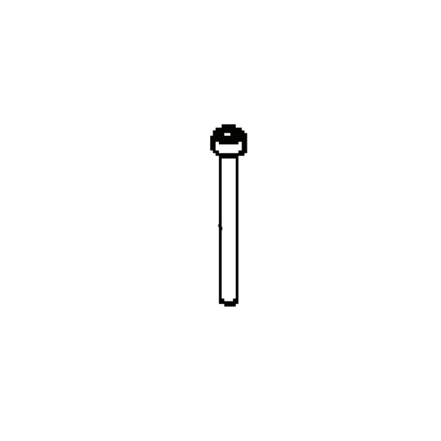 Screw