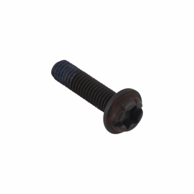 Screw 5902667-01