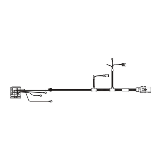 Wiring Assy Engine & Sensors P