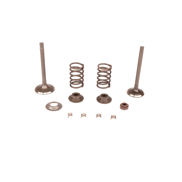 Valve kit
