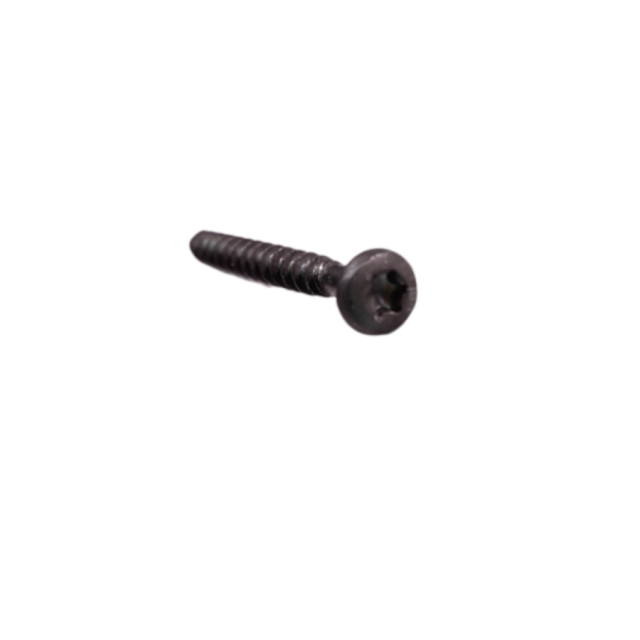 Screw Iso 14579 T10X20 10.9 Zp 5997213-02