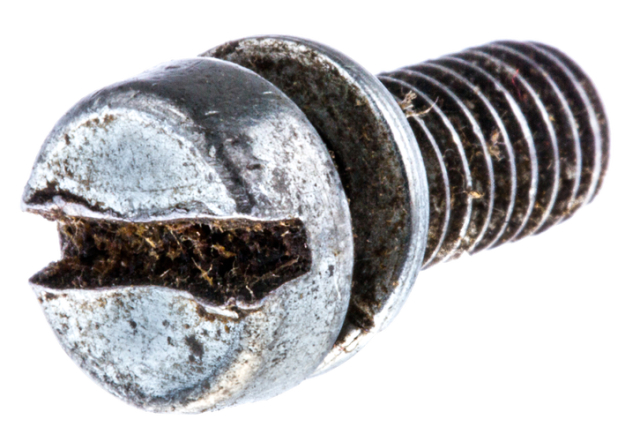Screw Slchm 7231325-01