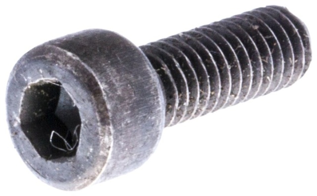 Screw Mc6S M4X10 7255289-55