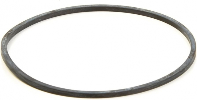Float housing gasket