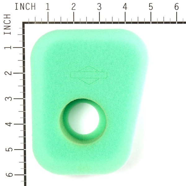 Foam Filter (5 X 27987S)