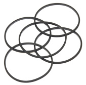 Gasket (5 X 281165S) Gasket (5 X 281165S)