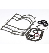 Gasket Kit 494241 Gasket Kit 494241