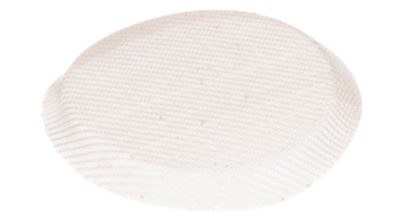 Fuel Strainer 5016661-01