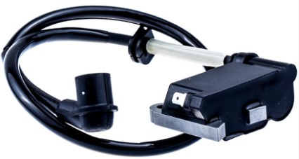 Ignition module