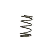 Spring, Oil pump Spring, Oil pump