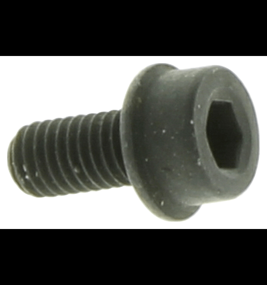 Screw M5X10 5032007-10