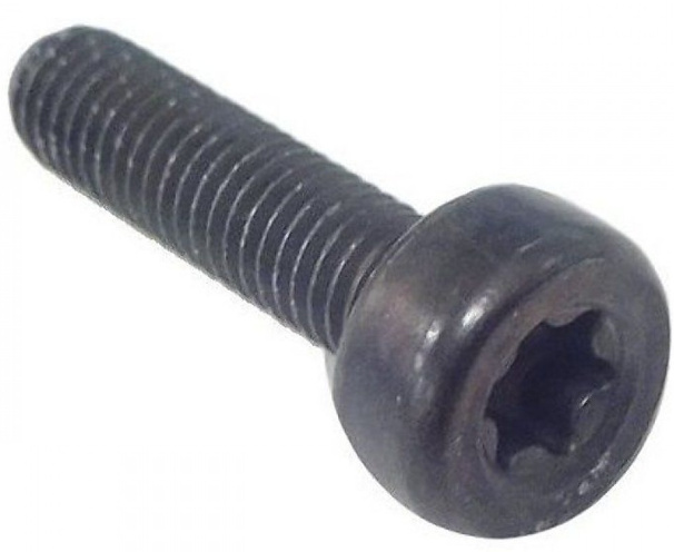 Screw Torx D10, M5X20