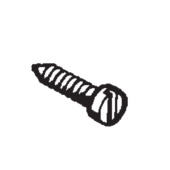 Screw Screw