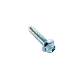 Screw Screw