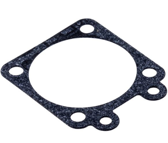 Diaphragm Gasket 235R, 240R 245RX, 55