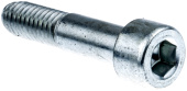 Screw Screw