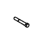 Screw Screw
