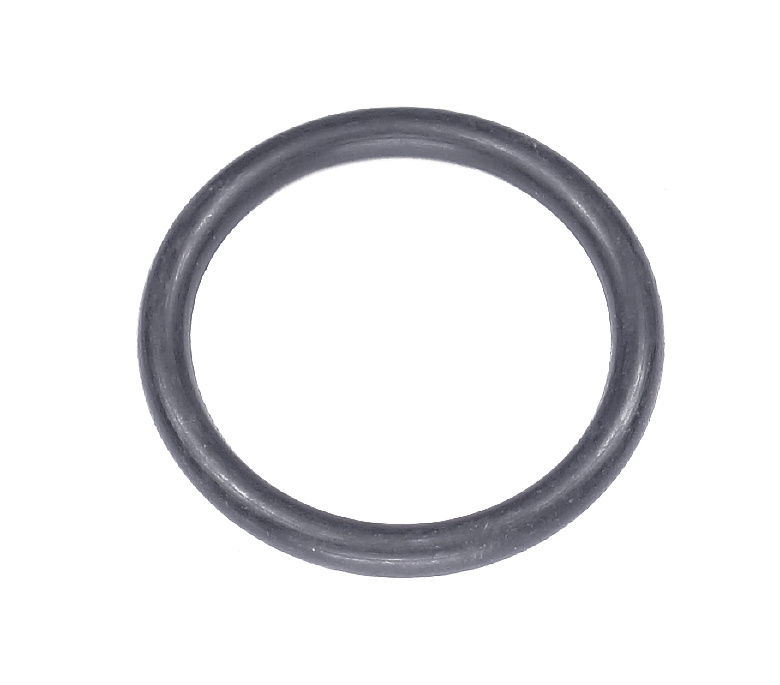 O-ring