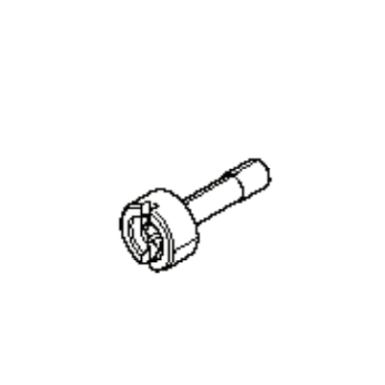 Screw 5215154-01