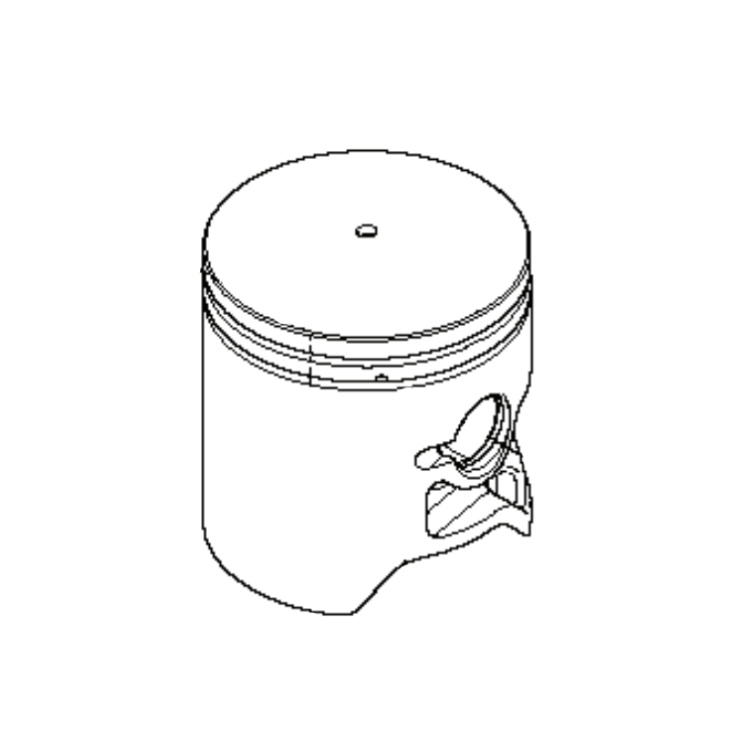 Piston 5216238-01