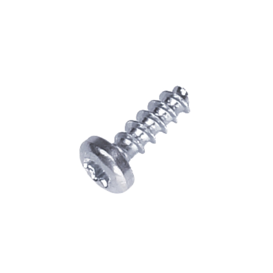 Sts screw t 40 x 12