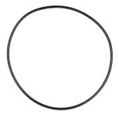 Seal Seal