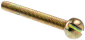 Screw Screw