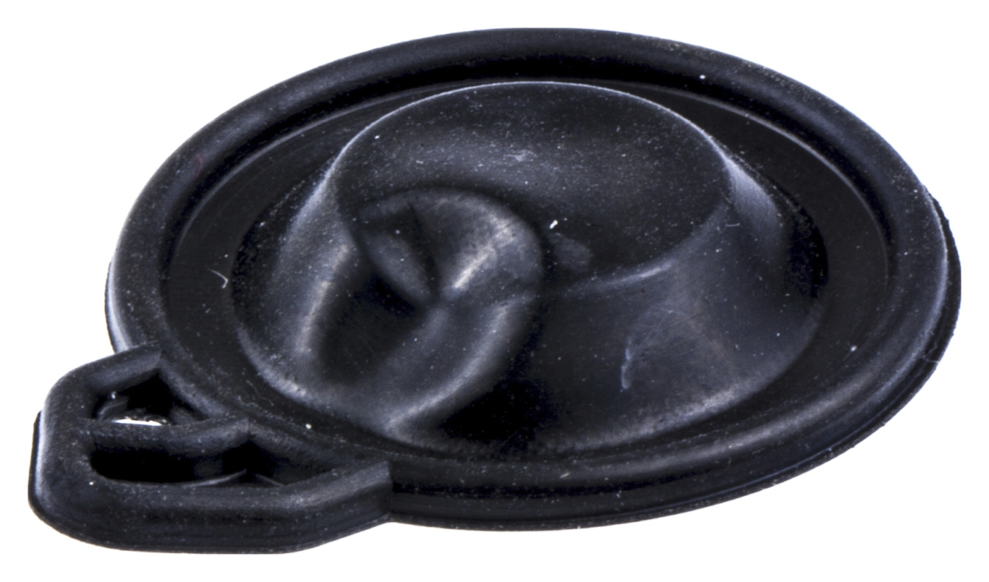 Diaphragm