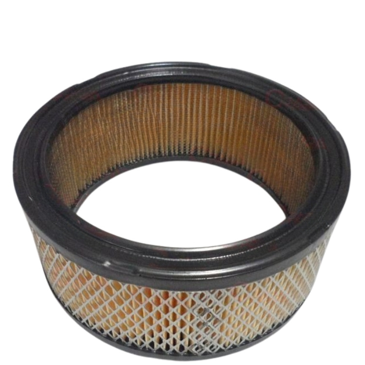 Air Filter 5310295-09