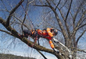 Husqvarna arborist climbing harness Husqvarna arborist climbing harness