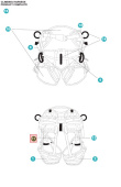 Elastic web set leg/back Elastic web set leg/back