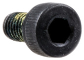 Screw Screw