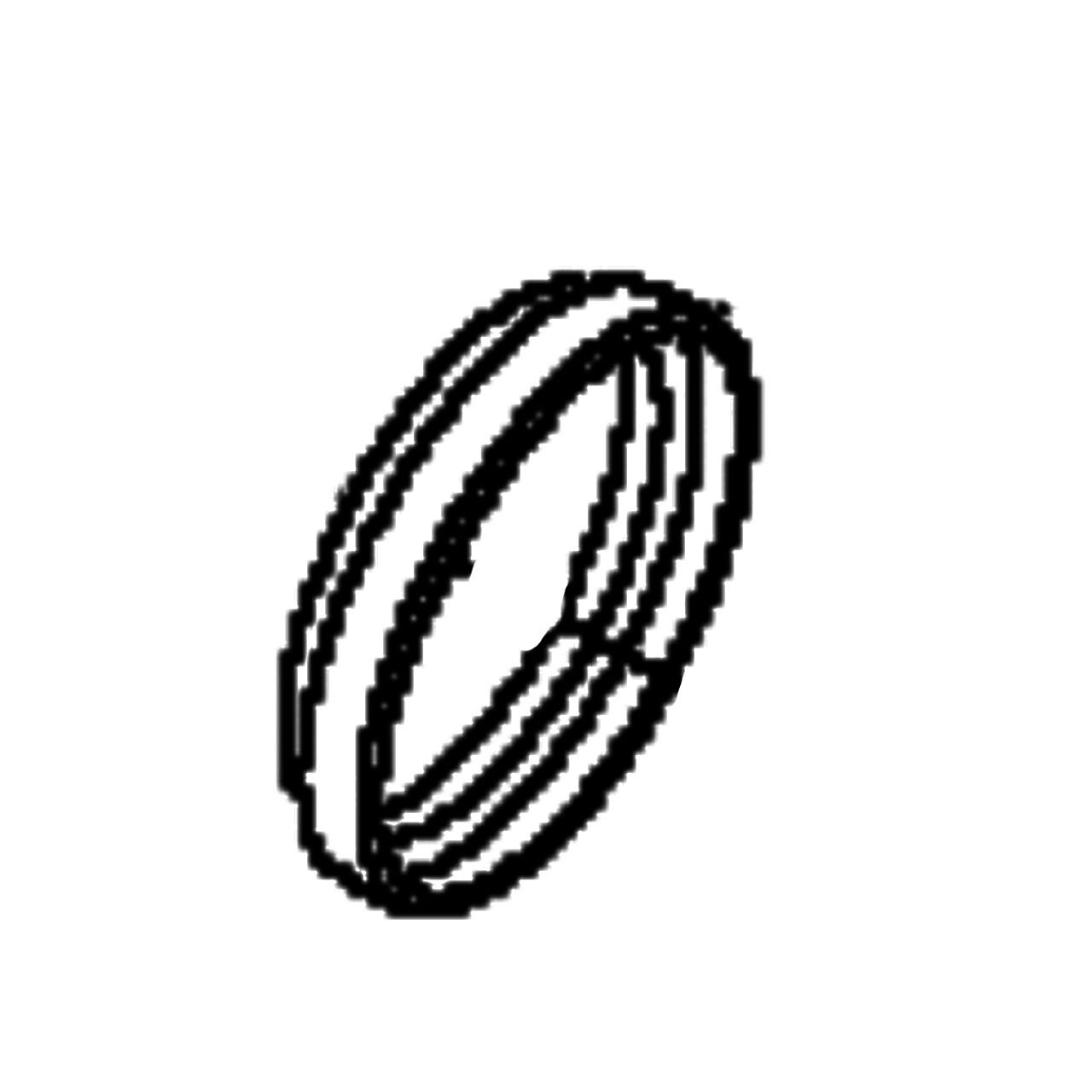 V-Ring 5373301-01