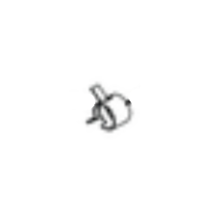 Hose clamp