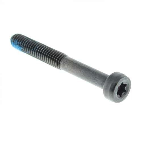 Screw