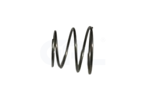 SPRING 5744485-01