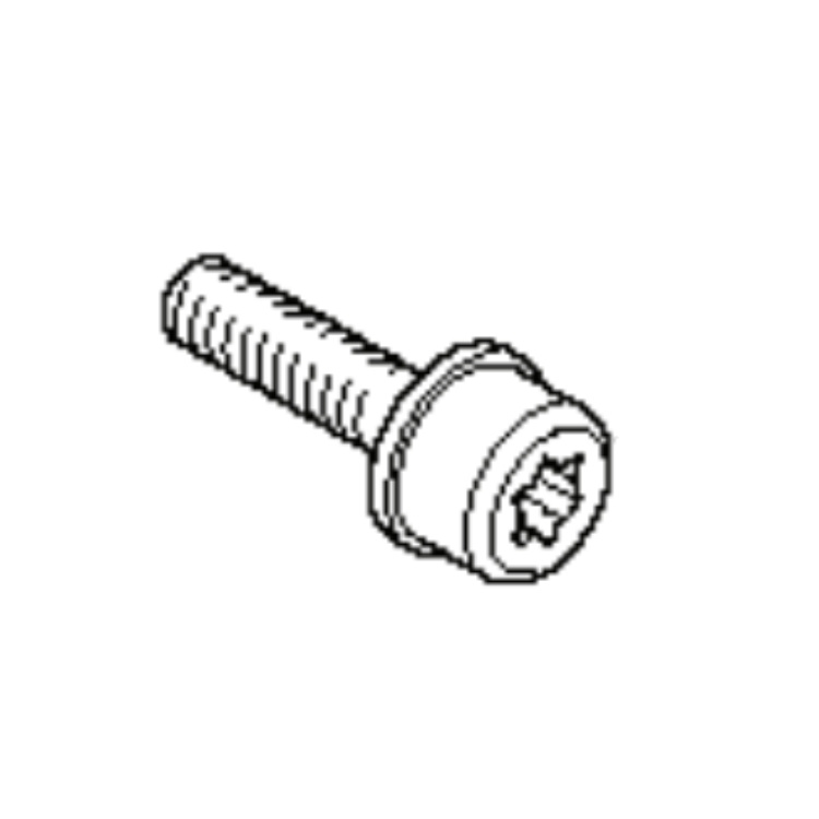 Screw M4-0.7X16Mm 4Stroke Pp 5759626-01