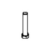 Screw Screw