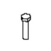 Pin screw Pin screw