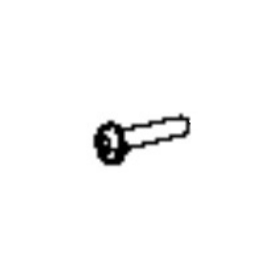 Screw 5798691-01