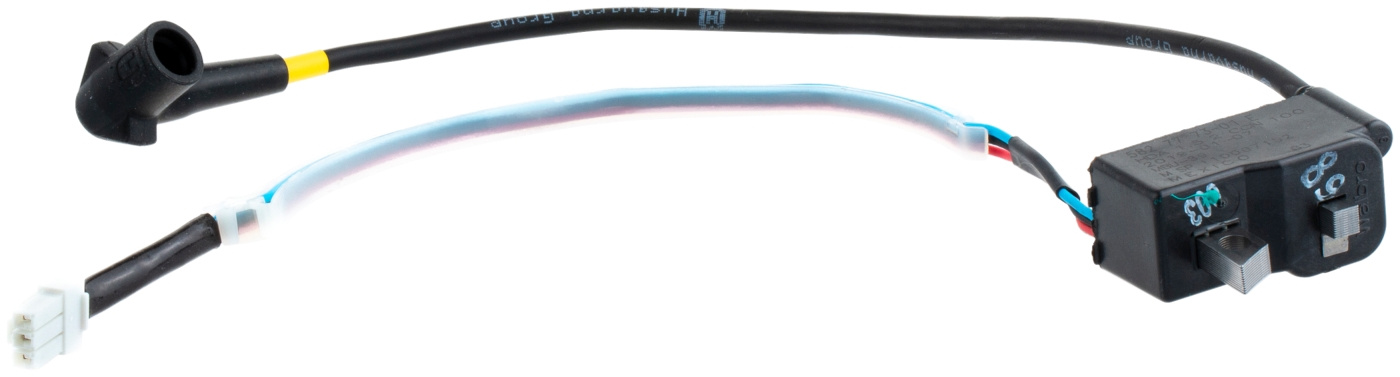 Ignition module
