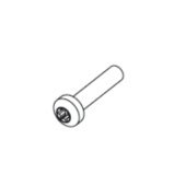 Screw Screw