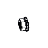 Nut Nut