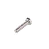 Screw Screw