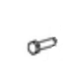 Screw Screw