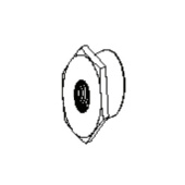 Nut Nut