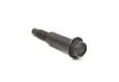 Screw Screw