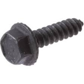 Screw Screw