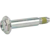 Screw Screw