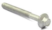 Screw Screw